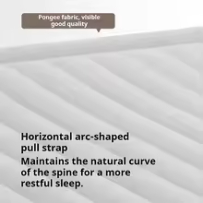 Inflatable Air Mattress Built- - Tech Queen 리뷰 및 가격