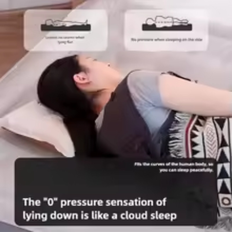 Inflatable Air Mattress Built- - Tech Queen 리뷰 및 가격